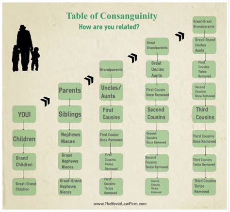 Table of Consanguinity Nashville Bankruptcy Attorney | Nashville TN Probate Lawyer