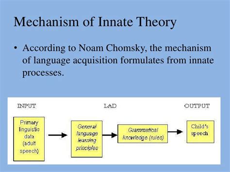 Innatism and the Language Acquisition Device (LAD)