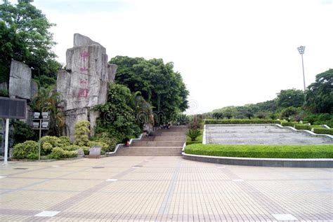 Shenzhen China: Zhongshan Park Editorial Photo - Image of tourist, buildings: 31205506