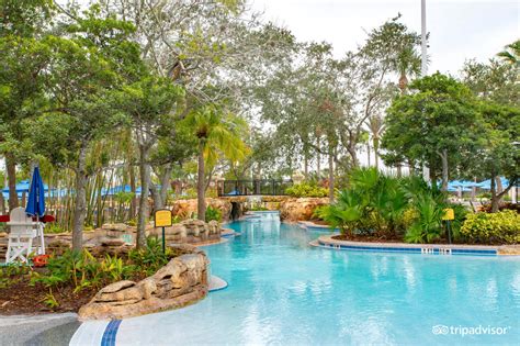 11 Best Hotel Pools in Orlando | Family Vacation Critic