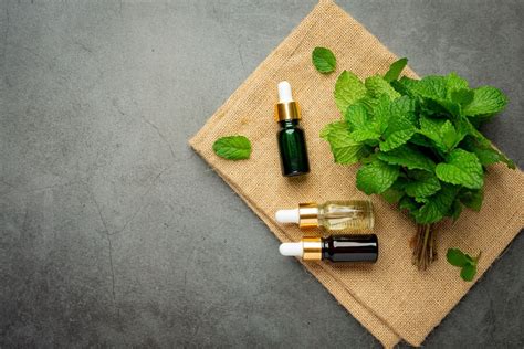 What Pest Does Peppermint Oil Repel?