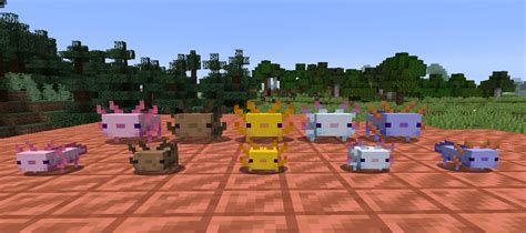 All of the Axolotl variants from the latest snapshot (20w51a) +Babies! : r/Minecraft