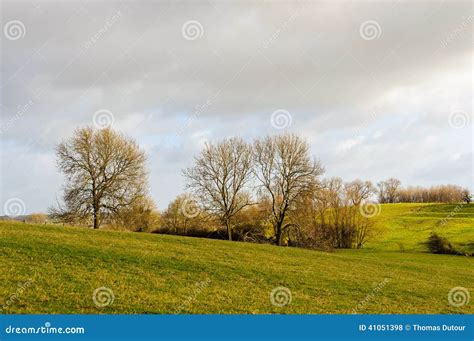 Rural landscape in winter stock photo. Image of nature - 41051398