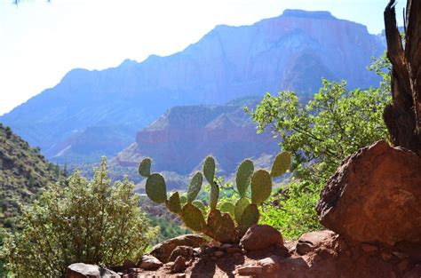 Desert hiking and camping tips - Right Kind Of Lost