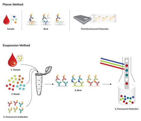 Multiplex Assay Services | Boster Bio