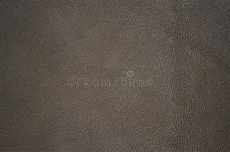 Leather Texture Background for Fashion Design. Design of Leather ...