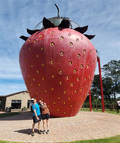 Redberry Farm George: Things to do at this Unique Destination - New Places To Go