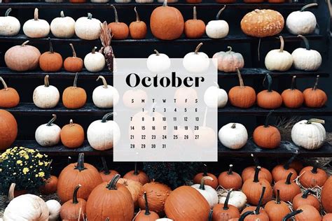 an image of a calendar with pumpkins on it