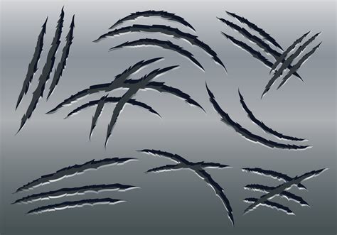 Claw Scratch Free Vector Art - (1067 Free Downloads)