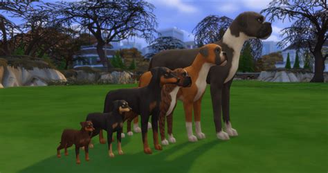 Two months ago I saw by chance this post and it reminded me that I’d like to try TS4 Morph Maker ...