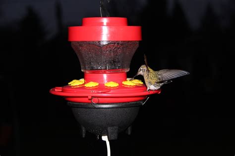 Hummers Heated Delight > The Original Heated Hummingbird Feeder