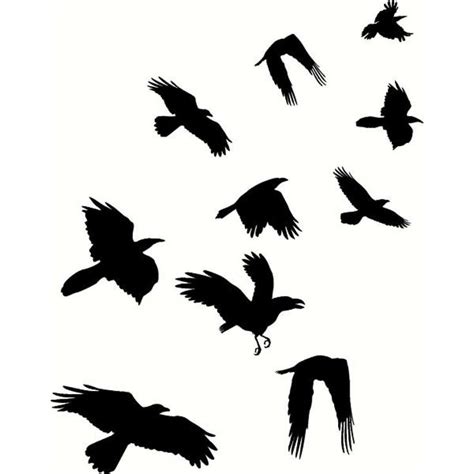 crow flock | Flock of Crows Ladies Tshirt | animal | Pinterest | Lady, Crows and Flock of crows