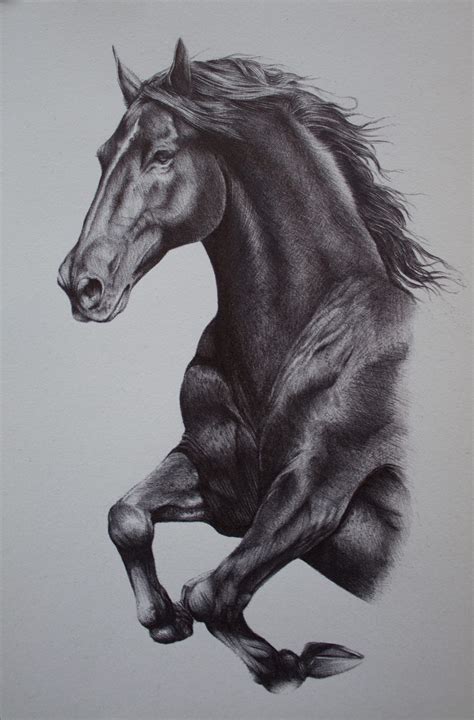 Black Horse – Western Gallery