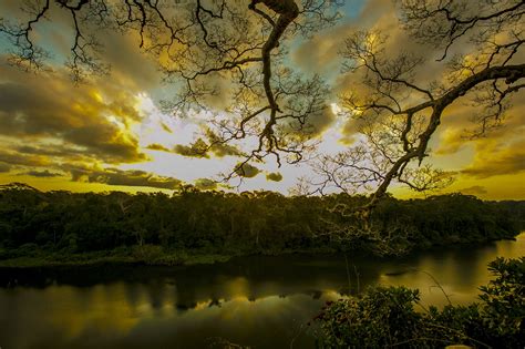 sunset over an untouched amazon rainforest peru