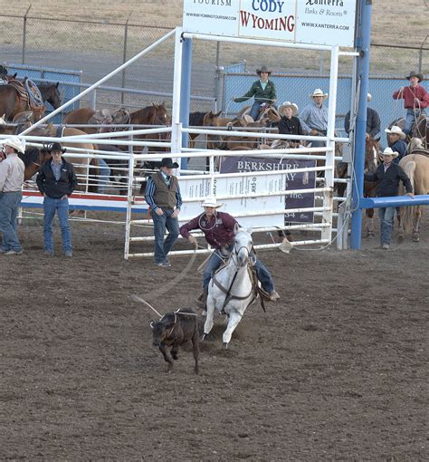 Feather Chucker: Cody Wyoming