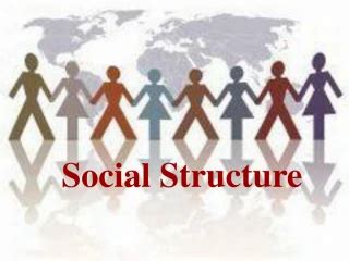 PPT - Social Structure PowerPoint Presentation, free download - ID:3014130