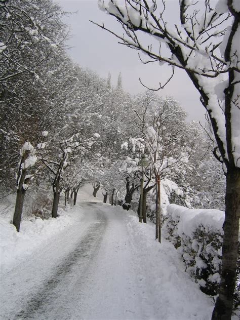 Winter arch stock image. Image of beauty, snow, white, romance - 188933