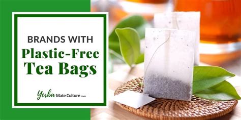 Best Plastic Free Tea Bags in 2023 - Safe & Sustainable!