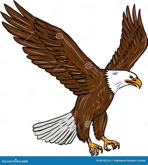 Bald Eagle Flying Drawing stock vector. Illustration of line - 89102310