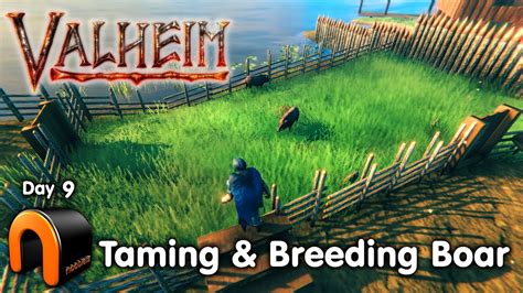 VALHEIM Taming & Breeding Boar DAY 9 #Valheim - Game videos