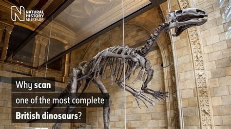 Why scan one of the most complete British dinosaurs? | Natural History Museum - YouTube