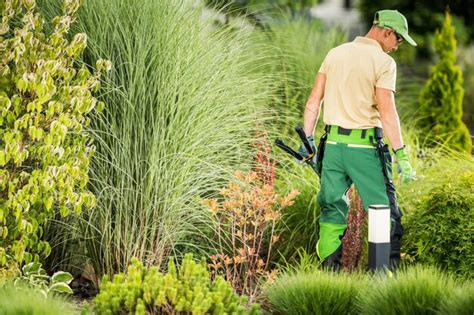 Premium Photo | Different types of garden scissors in use