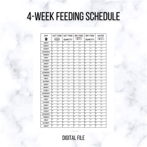 Printable Kitten Feeding Chart