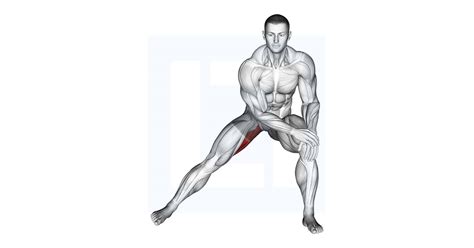 Side Lunge Adductor Stretch - Guide, Benefits, and Form