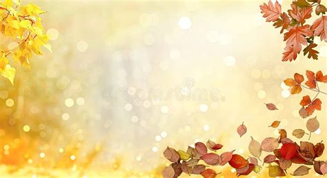 Autumn Leaves Yellow and Red Adorn the Beautiful Nature Bokeh ...