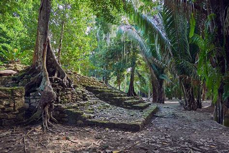 Costa Maya's Chacchoben Maya Ruins, most visited ruins site