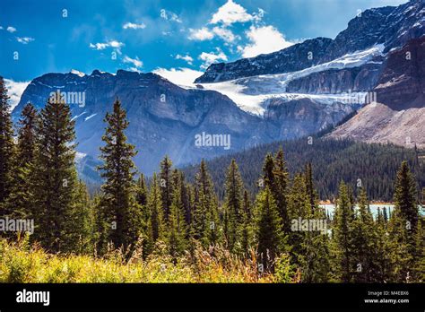 The Glacier Crowfoot in mountains in Banff National Park Stock Photo - Alamy