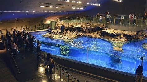 Sumida Aquarium - Tokyo Travel