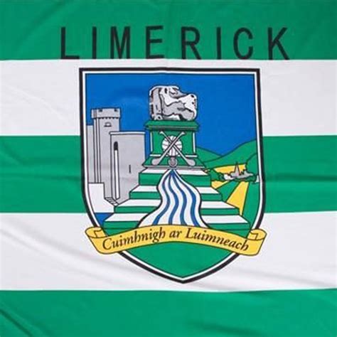 Official Limerick GAA Flag | Flags2u