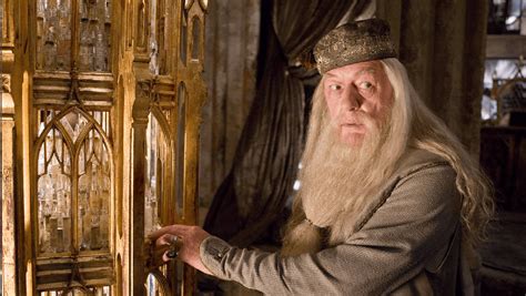 ‘Harry Potter’ Stars Honor Dumbledore Actor Michael Gambon After His Death