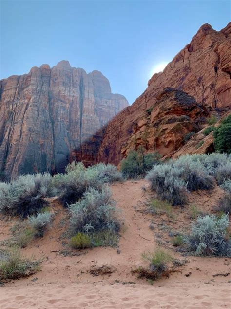 Is Utah's Underrated Snow Canyon State Park Worth It?