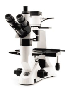 Inverted Microscope With Digital Camera - Eduscience Video Gallery