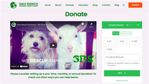 17 Best Animal Charities You Can Donate To