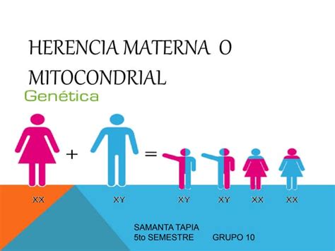 HERENCIA MATERNA O MITOCONDRIAL | PPT