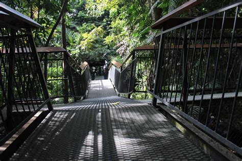 PNG Insight: Port Moresby Nature Park A Place For All - Visitors ...