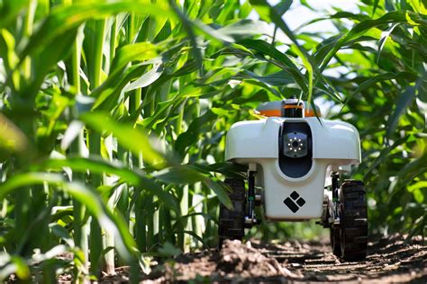 Ag Robots to Help Scientists Identify Heritable Traits and Increase Crop Bioenergy Production | UST