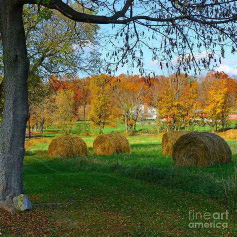 Farm - Autumn Harvest Photograph by Paul Ward - Fine Art America