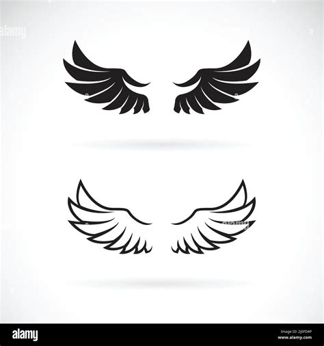 Vector of wing design on white background. Wing icon or logo. Animal. Easy editable layered ...