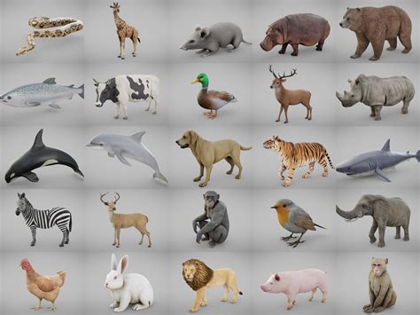 3D asset Ultimate Animal Collection | CGTrader