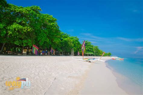 Top 10 Best Beaches in Mindanao - WayPH.com