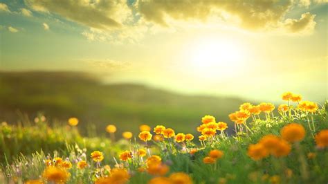 Sunshine HD Wallpapers - Top Free Sunshine HD Backgrounds - WallpaperAccess