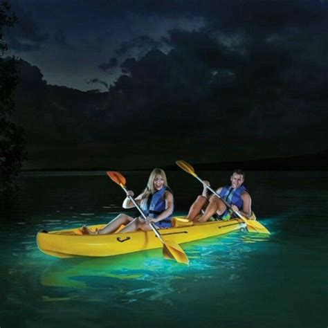 Bioluminescent Bay @ Fajardo | Bioluminescent bay, Kayaking, Enchanted island