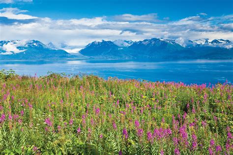 6 Things to Do in Homer, AK | Travel Alaska