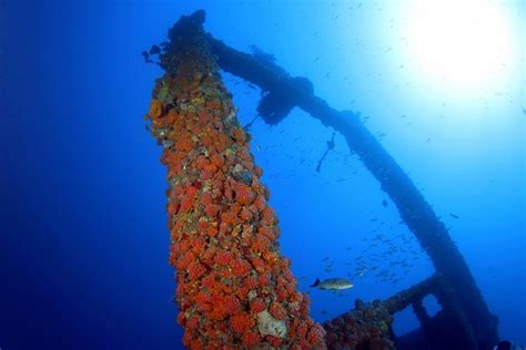 17 Best images about Bermuda Triangle Wrecks on Pinterest