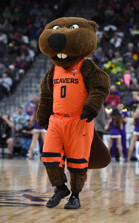 Oregon State Basketball: 3 reasons why Beavers can win Pac-12 in 2019