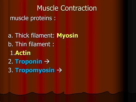 PPT - Physiology of Skeletal Muscle Contraction PowerPoint Presentation - ID:2095478